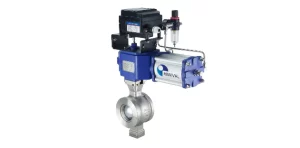 segmented ball valve