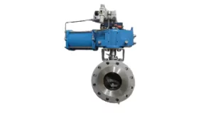 segmented ball valve