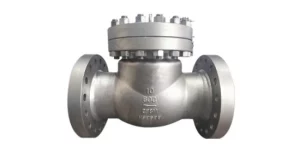 check-valve1