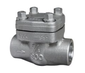 check-valve2