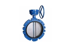 Butterfly Valve