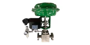 Globe Style Control Valve1