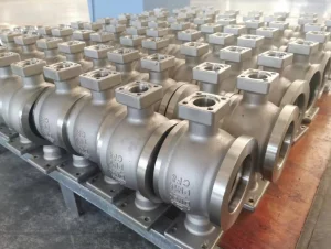 Segment Ball Valve (1)