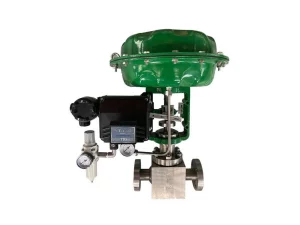 Globe-Control-Valve-2