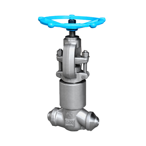 Globe Valve