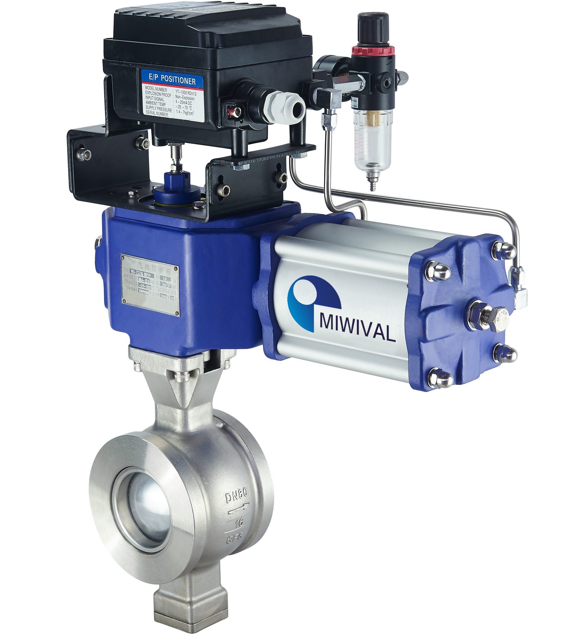 Segment Ball Valve