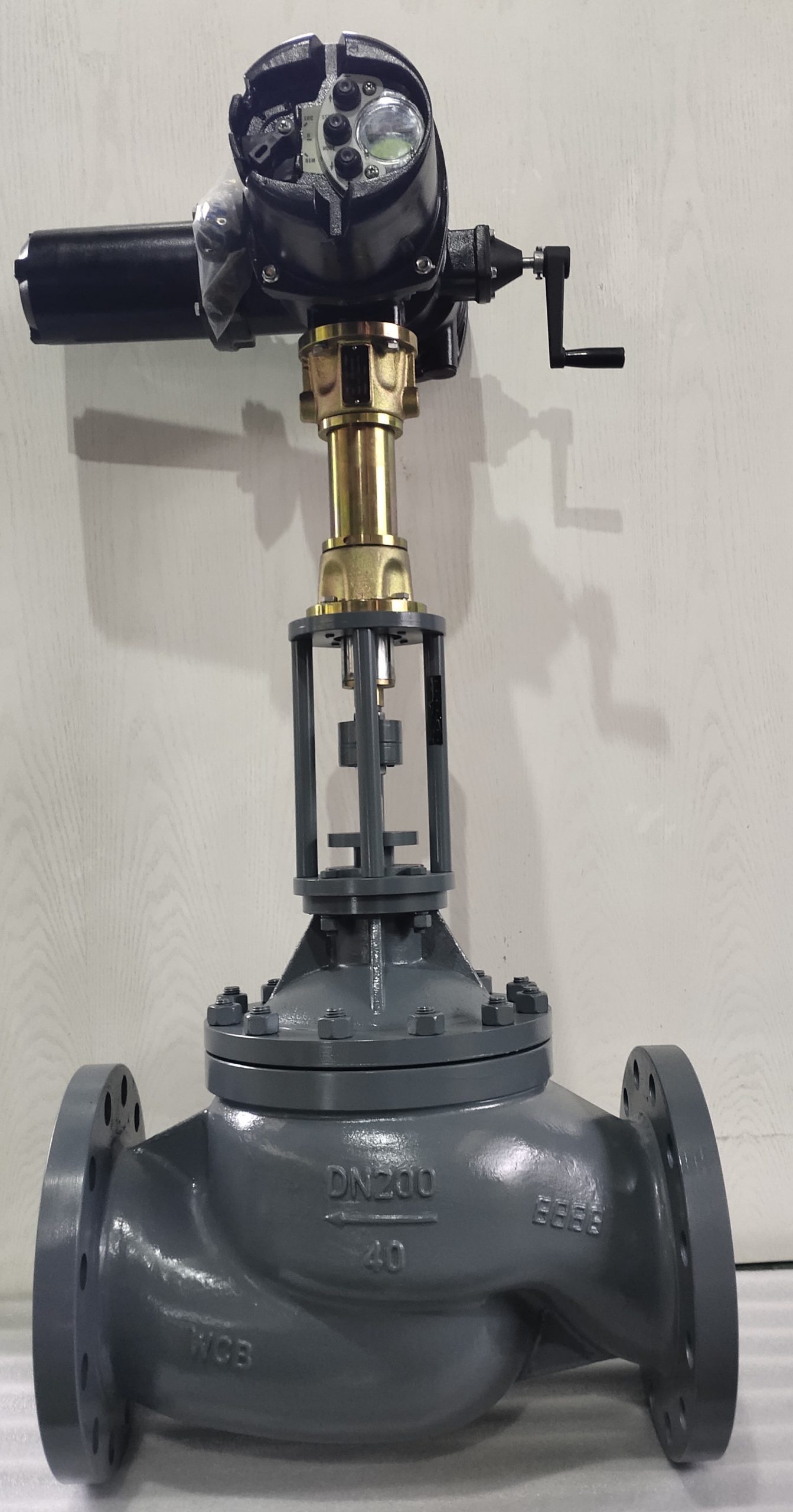 Globe Control Valve -ABB ONTRAC Electric actuator (460 V/AC)