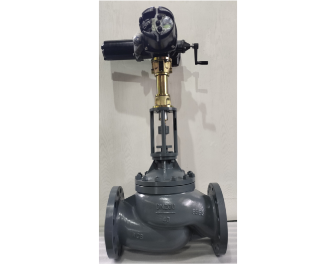 Globe Control Valve -ABB ONTRAC Electric actuator (460 V/AC)