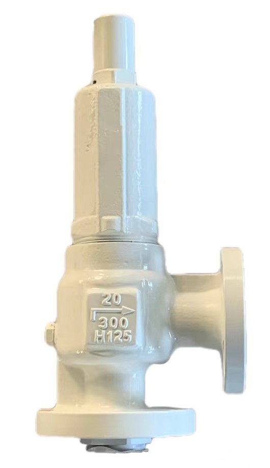 Safety Valve for gas service