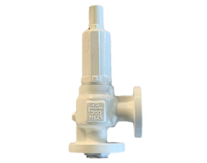 Safety Valve for gas service