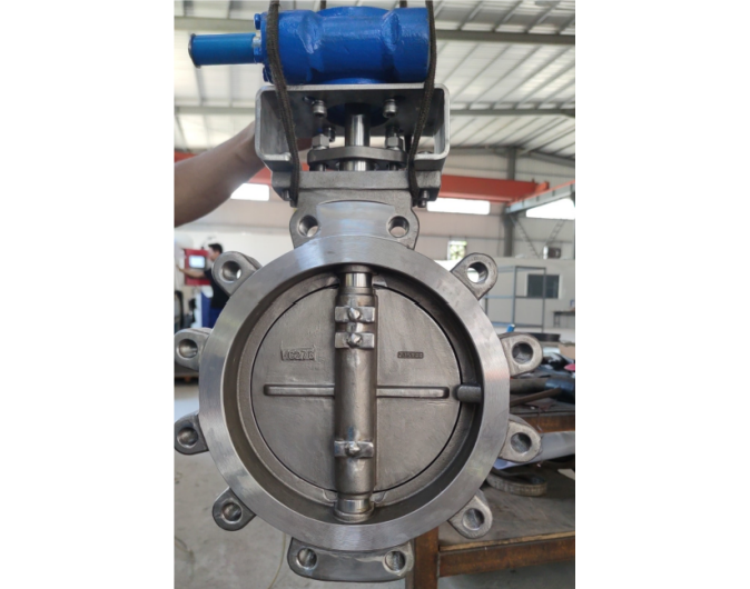 Miwival Hastalloy C276 High Performance Butterfly Valve