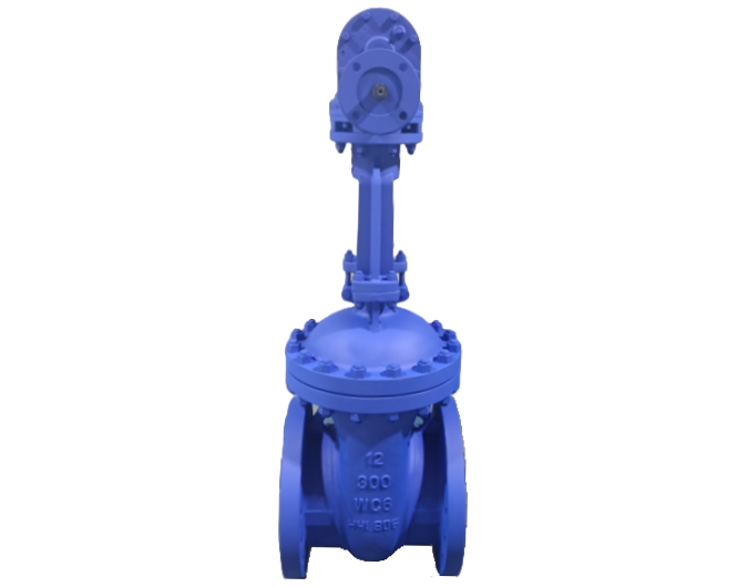 WC6 Gear Operated 12″ Wedge Gate Valve